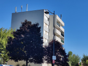 1659799662-331.jpg