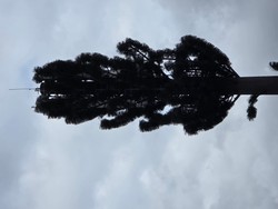 1791643374347_ac0ovo.jpg