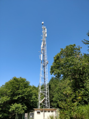 1564739139-808.jpg