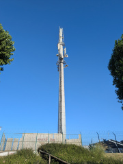 1756174406-37.jpg
