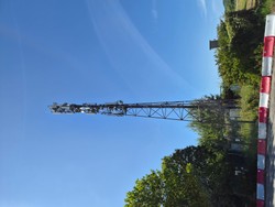 1787404225851_z8nf80.jpg