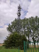 1631798252-495.jpg