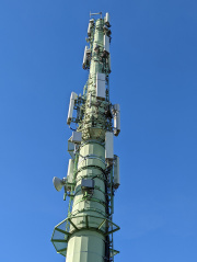 1644676536-759.jpg