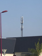 1525783027_0.jpg