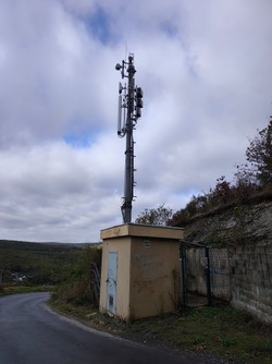 1793091736812_w5i4j0.jpg