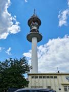 1654001392-217.jpg