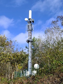 1793096800305_897ib8.jpg
