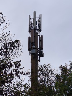 1792652494095_3v7gl1.jpg