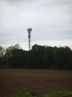 1790762845766_8yimt4.jpg