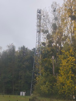 1792493726455_qpfln6.jpg