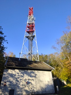 1793286560874_sfom51.jpg