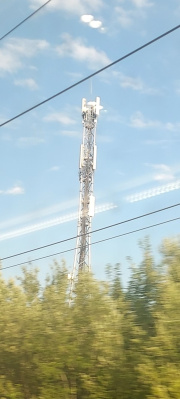 1689704659-316.jpg