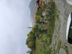 1790862138039_ijn7h4.jpg