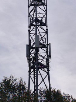 1792565706633_lz96o3.jpg