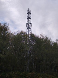 1792565710960_mslsg1.jpg