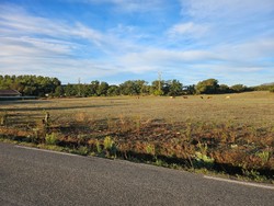 1791703886962_1hitnd.jpg