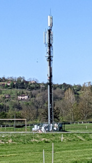1650296876-585.jpg