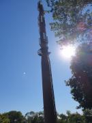 1594483147-84.jpg
