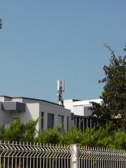 1533738995-31.jpg