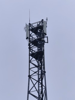 1792499669139_stie07.jpg