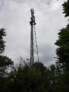 1594906120-636.jpg