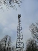 1610364018-199.jpg