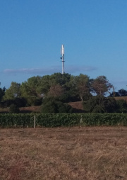 1534527817-225.jpg