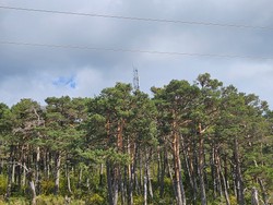 1789828594273_p0e33t.jpg