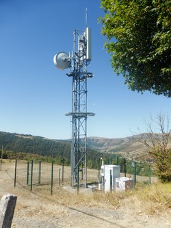 1789910183662_k476s9.jpg