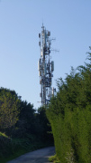 1730295992-669.jpg