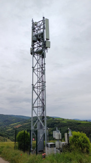 1717005124-385.jpg