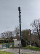 1615728060-819.jpg