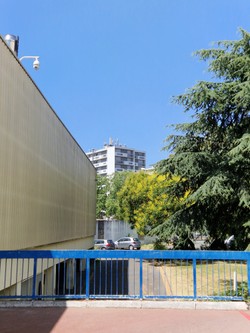1787772280498_1nvtv3.jpg