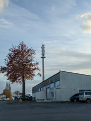 1637173090-894.jpg