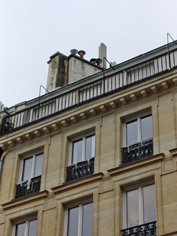 1793025725447_q3dg24.jpg