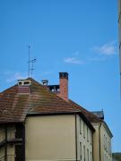 1621240471-179.jpg