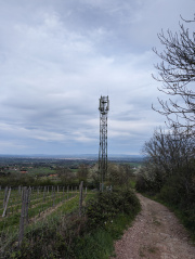 1712330490-498.jpg