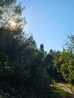 1791647129329_briofj.jpg