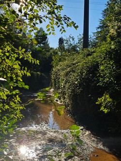 1791647129692_ge235j.jpg