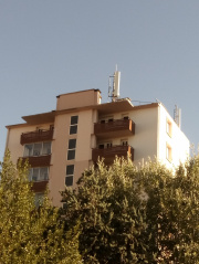 1596646144-289.jpg