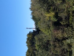 1791637095420_l7ztw1.jpg