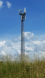 1527943946-60.jpg