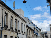 1615897105-438.jpg