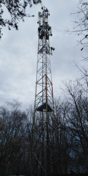 1728381205-700.jpg
