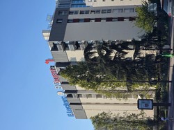1791119994345_d4r4he.jpg