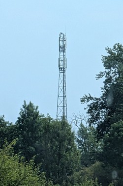 1784974372455_4n9lcx.jpg