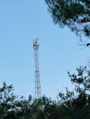 1628953460-721.jpg
