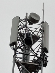 1611845738-804.jpg