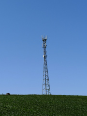 1532337875-32.jpg