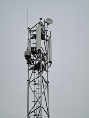1614715714-357.jpg